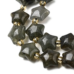 Природные лабрадорита бисер нитей&nbsp;G-Z080-A33-10mm