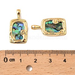 Прямоугольные подвески из натуральных ракушек пауа&nbsp;KK-G538-17G