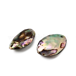 Природные пауа оболочки подвески&nbsp;SSHEL-S280-01A