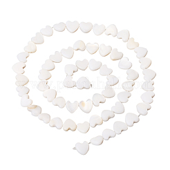 3 нить бусин из натуральных пресноводных ракушек&nbsp;SHEL-LT0001-02