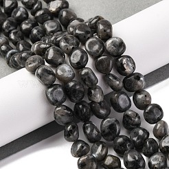 Натуральные нити бус из ларвикита G-G146-A13-01