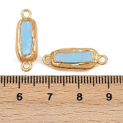 Подвески-соединители из натурального гальванизированного окрашенного хаулита&nbsp;KK-K362-14G