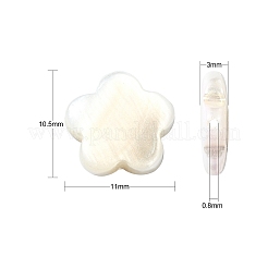 30шт гальванические бусины из натуральных пресноводных ракушек&nbsp;SHEL-CJ0001-26