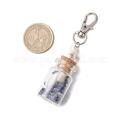 Бусины из натурального лазурита/аметиста/сердолика/цитрина/розового кварца/амазонита и ракушек внутри стеклянной бутылки желаний&nbsp;HJEW-JM03221