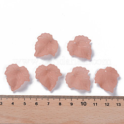 Прозрачные матовые акриловые листовые подвески&nbsp;X-PAF002Y-6