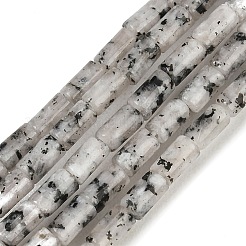 Натуральный шрам яшмы&nbsp;G-P600-B11-01