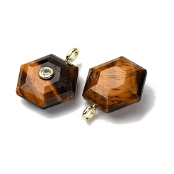 Природных тигровый глаз подвески&nbsp;G-P588-02G-08