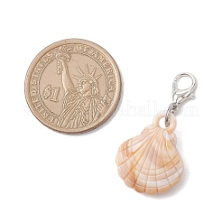 5 шт. 5 стиля акриловая ракушка морская звезда подвеска украшение&nbsp;HJEW-JM03875