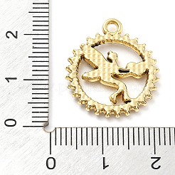 Подвески из сплава и страза&nbsp;FIND-U026-04G