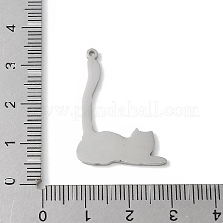 Подвески из нержавеющей стали 304&nbsp;LS-STAS-E501-11P