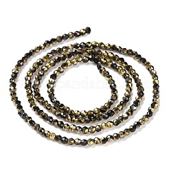 Стеклянные бусины с гальваническим покрытием &nbsp;GLAA-H021-01A-HP04