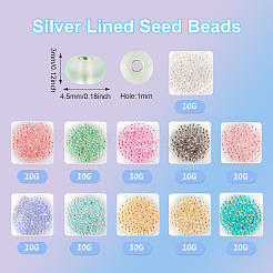 100 г 10 стилей стеклянных бусин&nbsp;SEED-TA0001-26