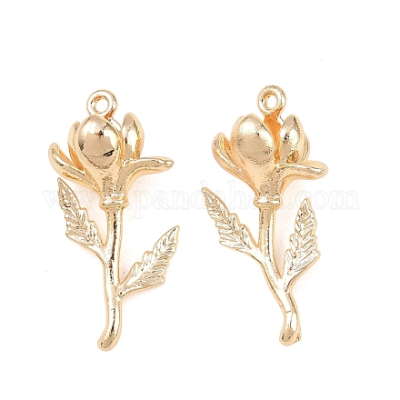 Латунные подвески&nbsp;KK-A288-01G-02-1