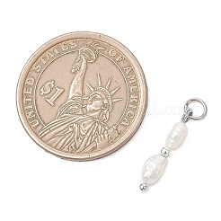 Подвески из натурального барочного жемчуга кеши и синтетического немагнитного гематита с гальваническим покрытием.&nbsp;PALLOY-JF04993-02