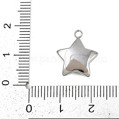 Подвески из синтетических ракушек из нержавеющей стали 304&nbsp;STAS-P402-03B-P