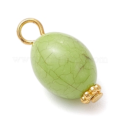 Хрустящие непрозрачные акриловые подвески&nbsp;PALLOY-JF03931-02