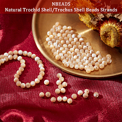Нити бусин из натуральных трохоидных/трохус ракушек&nbsp;SSHEL-NB0001-34