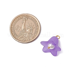 6 шт. подвески из матового акрила в виде цветка&nbsp;PALLOY-JF03853