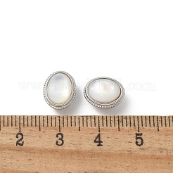 Латунные бусины из ракушек&nbsp;KK-U052-41P