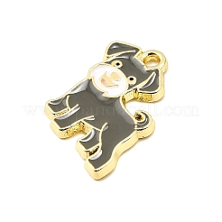 Цинк подвески эмали сплава&nbsp;FIND-Z080-01G-01