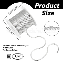 Плоские змейки из нержавеющей стали длиной 10 м CHS-NB0001-03