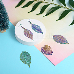 Наборы для самостоятельного изготовления подвесных сережек&nbsp;DIY-CW0001-07