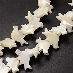 Нити бусин из натуральных трохоидных/трохус ракушек SSHEL-K014-01-A