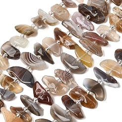 Природные Ботсвана агат бисер нитей&nbsp;G-L649-A06-01