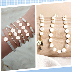 2 нить бусин из натуральных пресноводных ракушек&nbsp;SSHEL-SC0001-36A