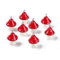 Подвески из непрозрачной смолы&nbsp;RESI-T028-69D