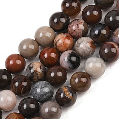 Натуральный окаменелого дерева нити круглый шарик&nbsp;G-F266-08-8mm