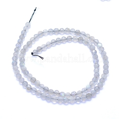 Природные лабрадорита бисер нитей&nbsp;LS-G-I279-E19