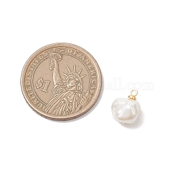 Подвески из ракушек и жемчужных самородков&nbsp;PALLOY-JF04861