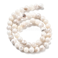 Природные персидские нефрита бисер пряди&nbsp;X-G-A255-A02-02K