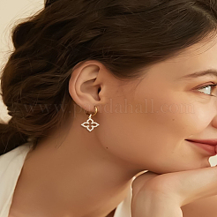 2 шт.&nbsp;ZIRC-LP0001-21