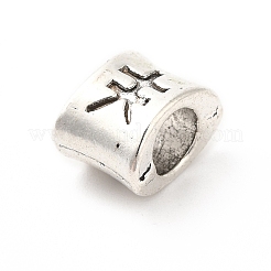 Европейские сплавочные бусины тибетского стиля &nbsp;LS-PALLOY-P293-139AS