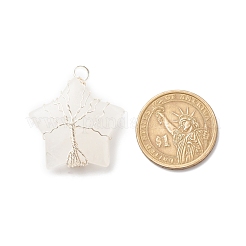 Природного кварца хрустальных подвесок&nbsp;PALLOY-JF01635-02