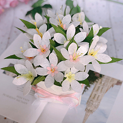 1 комплект нетканого материала&nbsp;DIY-SC0032-33A