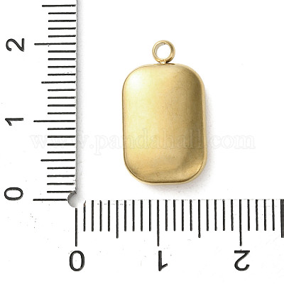 Подвески из акрила из нержавеющей стали 304 STAS-M091-02C-G-1