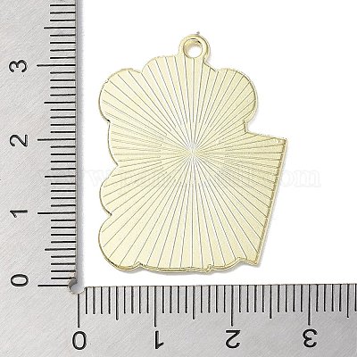 Сплав цинка кулон&nbsp;ENAM-Z009-03B-LG-1