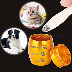 Гроб для праха домашних животных из нержавеющей стали 316&nbsp;AJEW-WH0013-41E