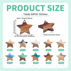 20 шт. подвески из двух цветов: прозрачной и непрозрачной смолы и орехового дерева&nbsp;RESI-TA0004-58