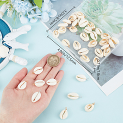 48 шт. подвески из натуральной ракушки каури 2 цветов&nbsp;FIND-BBC0003-14