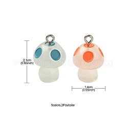 10шт 5 цвета подвески из светящейся смолы&nbsp;RESI-YW0001-37