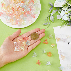 240шт 8 цвета прозрачные акриловые колпачки для бусин&nbsp;OACR-FH0001-050