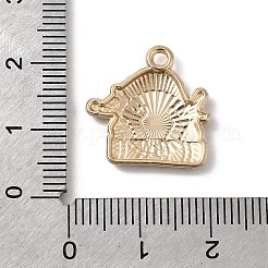 Рождественские эмали сплава подвески&nbsp;FIND-H055-17B-G02