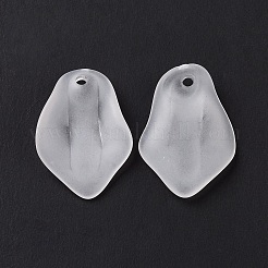 Прозрачные акриловые подвески&nbsp;OACR-A017-16