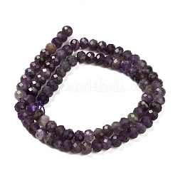 Природный аметист нитей бисера&nbsp;LS-G-G278-A02-4x6mm