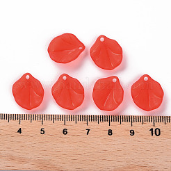 Прозрачные матовые акриловые подвески&nbsp;MACR-S371-02A-712