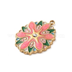 Подвески из нержавеющей стали 304 с эмалью&nbsp;STAS-Z146-02G-02B